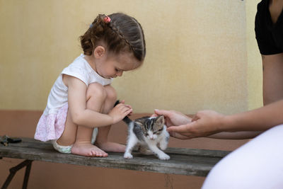 Cute girl playing with kitten on bench