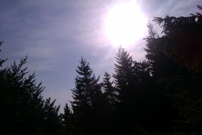 Silhouette of trees and forest against sky