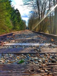 Railroad track amidst trees against sky