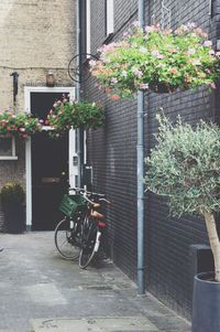 Plants parked in front of building