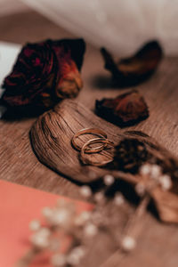 Close-up of dry leaf on table