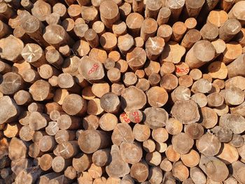 Full frame shot of logs in forest