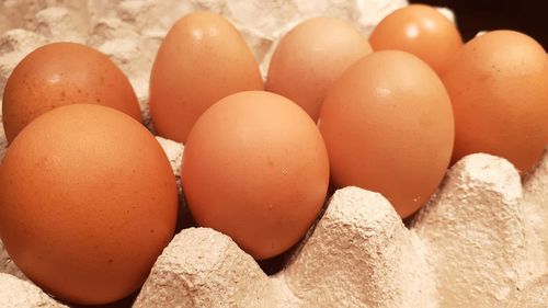 Close-up of eggs in container