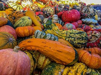 Full frame shot of pumpkins at market stall