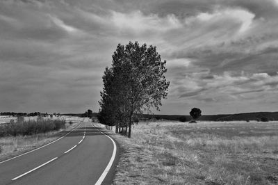 Road by tree against sky