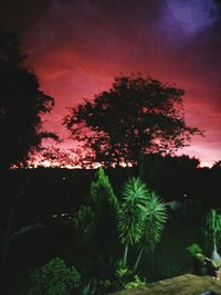 Silhouette trees against sky at night