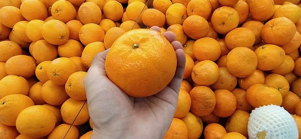 Full frame shot of oranges