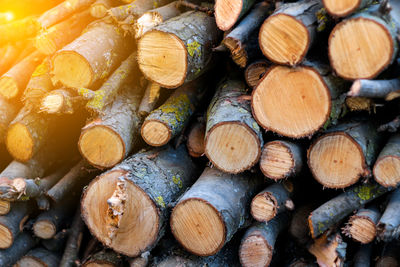 timber