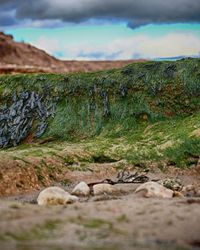 Close-up of rocks on landscape against sky