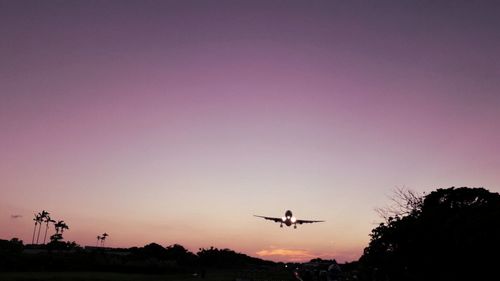 Low angle view of silhouette airplane flying against clear sky