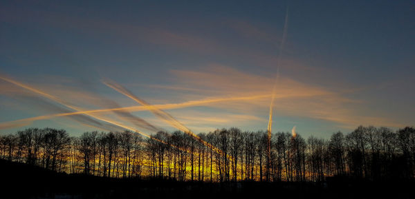 Silhouette trees on landscape against sky at sunset