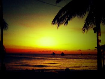 Silhouette of palm trees at sunset