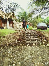 Man working in farm