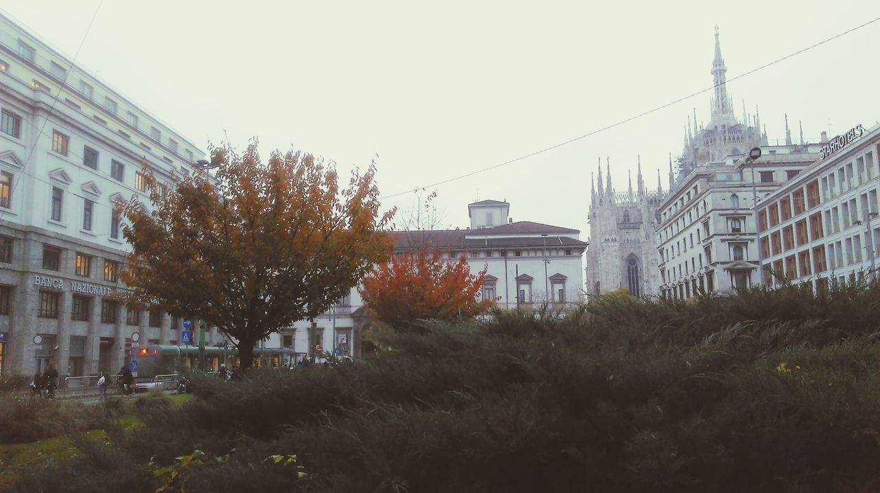 building exterior, built structure, architecture, city, tree, outdoors, no people, sky, day