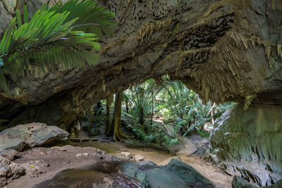 Scenic view of cave