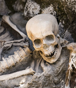 Close-up of human skull