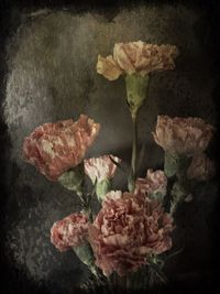 Close-up of flowers against black background