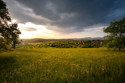 Scenic view of field against sky during sunset