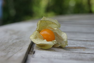 Close-up of fruit on table