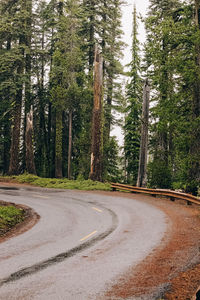 Road amidst trees in forest