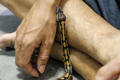 High angle view of snake on leg