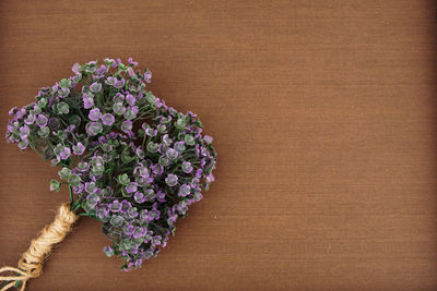 High angle view of purple flowering plant on table