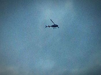 Low angle view of airplane flying in sky