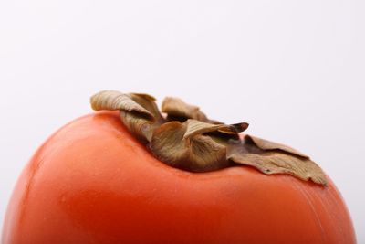 Close-up of burger against white background
