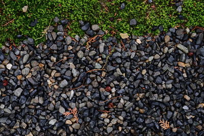 High angle view of stones on field