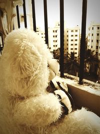 Close-up of hat in park against sky