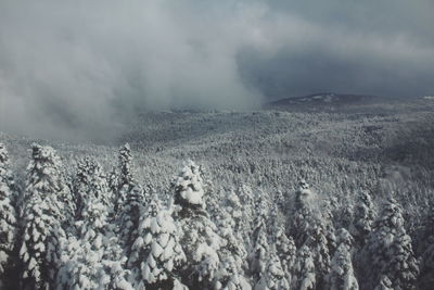 Panoramic view of landscape against sky