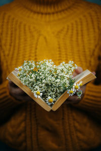 High angle view of flowering plant on table