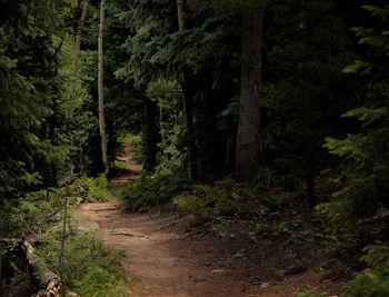 Hiking trail