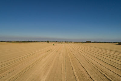 Scenic view of agricultural field against clear blue sky