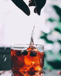 Close-up of beer in glass