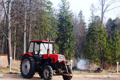 Motorcycle on road amidst trees in forest