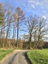 Road amidst bare trees on field against sky