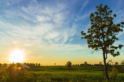 Scenic view of field against sky during sunset