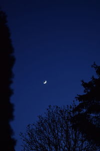 Low angle view of silhouette trees against sky at night