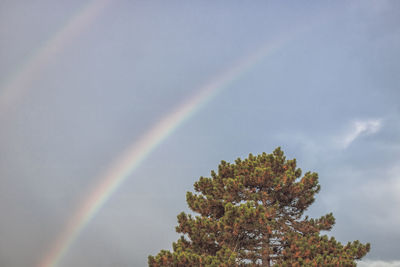 Low angle view of rainbow against sky