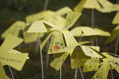 Close-up of yellow craft flowers with text on field