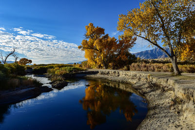 Autumn leaves on trees reflected in flowing river water