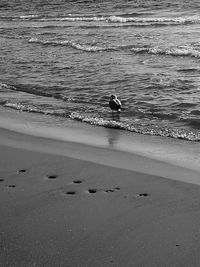 People at beach