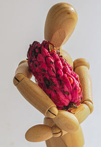 Close-up of white rose on wall