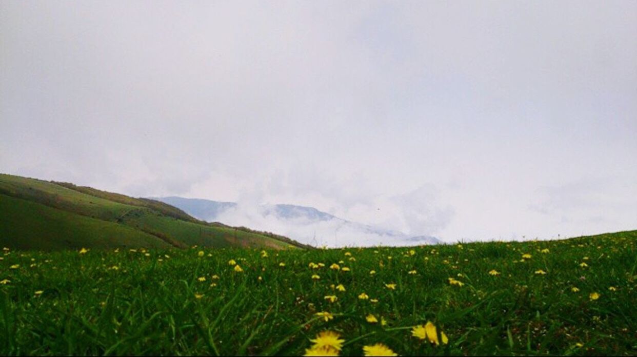 VIEW OF LANDSCAPE AGAINST SKY