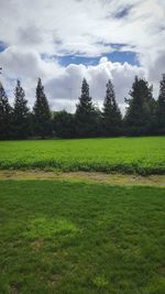 Scenic view of field against sky