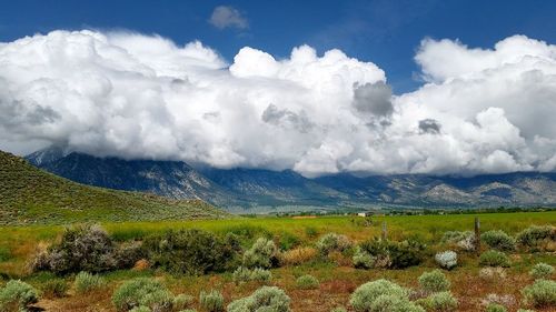 Scenic view of landscape against cloudy sky