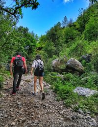 Rear view of friends walking on rock