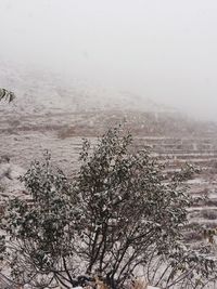 Scenic view of snow covered land against sky