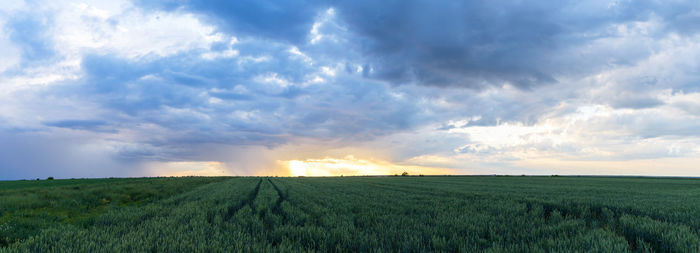 Scenic view of agricultural field against sky